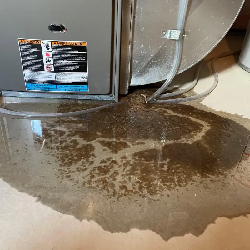 Appliance Leak Cleanup in Sperry, OK